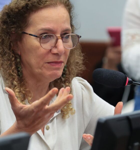 parlamentares-governistas-vao-aos-eua-apresentar-contraponto-a-direita